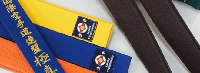 Записаться на тренировки по киокушинкай каратэ