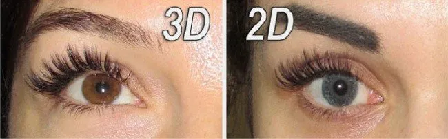chem-otlichaetsya-narashchivanie-resnic-2d-ot-3d4